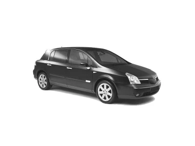 RENAULT VEL SATIS (BJ) 2002 - 2009 onderdelen