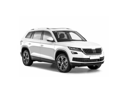 SKODA KODIAQ, 17 - 24 Autoteile