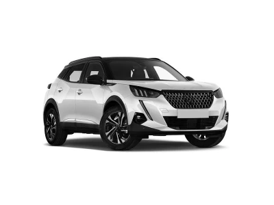 PEUGEOT 2008 II 2019 - 2024 onderdelen