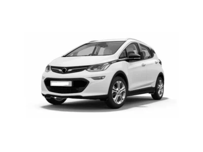 OPEL AMPERA-E (F17) 2017,2018,2019 onderdelen