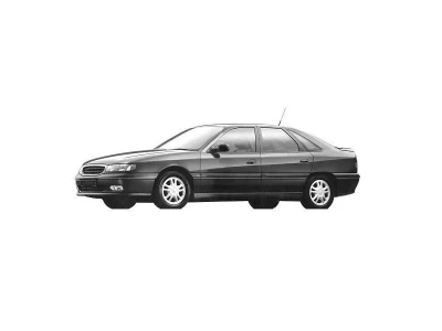 RENAULT SAFRANE 1996,1997,1998,1999,2000 onderdelen